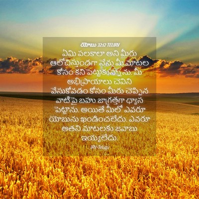 Picture 04 - యోబు 32:12 TELIRV - ఏమి పలకాలా అని - Bible Verse Picture