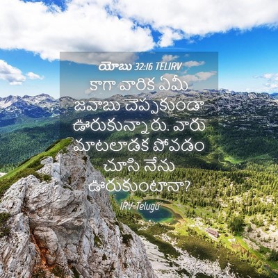 Picture 04 - యోబు 32:16 TELIRV - కాగా వారిక ఏమీ - Bible Verse Picture