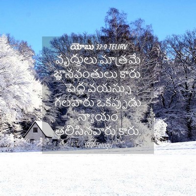 Picture 04 - యోబు 32:9 TELIRV - వృద్ధులు మాత్రమే - Bible Verse Picture