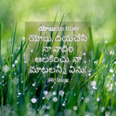 Picture 04 - యోబు 33:1 TELIRV - యోబు, దయచేసి నా - Bible Verse Picture