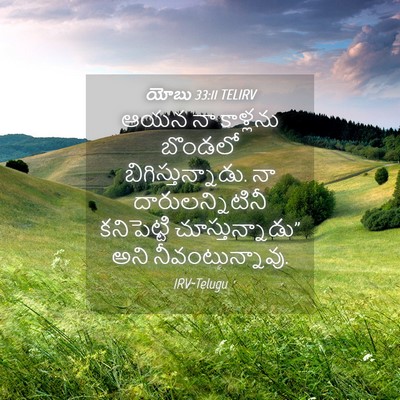Picture 04 - యోబు 33:11 TELIRV - ఆయన నా కాళ్లను - Bible Verse Picture