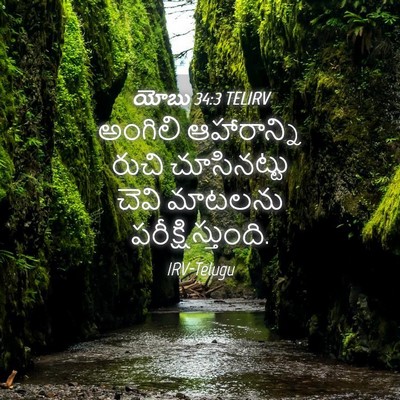 Picture 04 - యోబు 34:3 TELIRV - అంగిలి ఆహారాన్ని - Bible Verse Picture