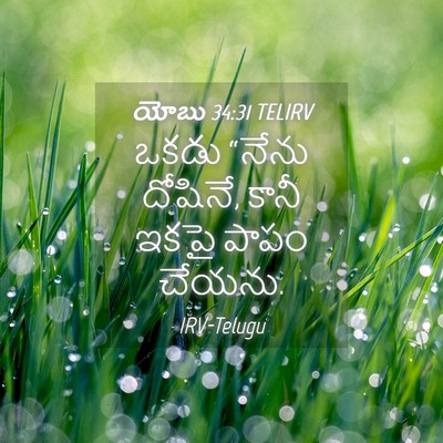 Picture 04 - యోబు 34:31 TELIRV - ఒకడు “నేను దోషినే, - Bible Verse Picture