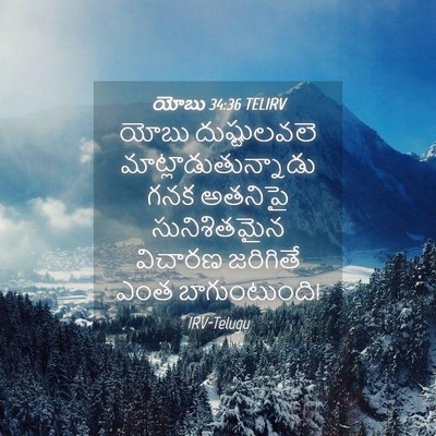 Picture 04 - యోబు 34:36 TELIRV - యోబు దుష్టులవలె - Bible Verse Picture