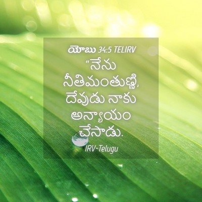 Picture 04 - యోబు 34:5 TELIRV - “నేను - Bible Verse Picture