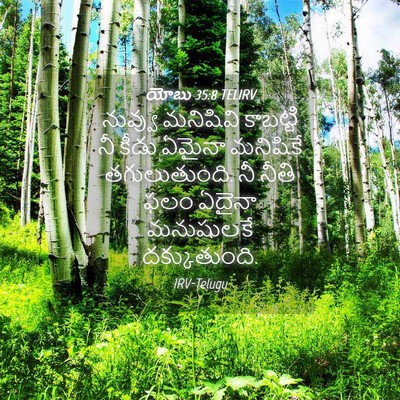 Picture 04 - యోబు 35:8 TELIRV - నువ్వు మనిషివి - Bible Verse Picture
