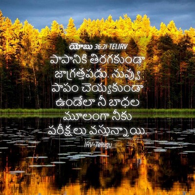 Picture 04 - యోబు 36:21 TELIRV - పాపానికి - Bible Verse Picture