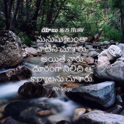 Picture 04 - యోబు 36:25 TELIRV - మనుష్యులంతా - Bible Verse Picture