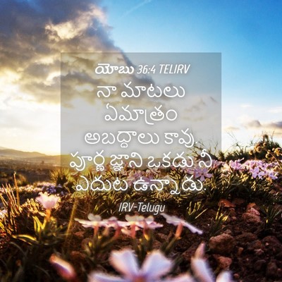 Picture 04 - యోబు 36:4 TELIRV - నా మాటలు ఏమాత్రం - Bible Verse Picture