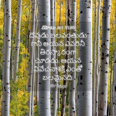 Picture 04 - యోబు 36:5 TELIRV - దేవుడు బలవంతుడు - Bible Verse Picture