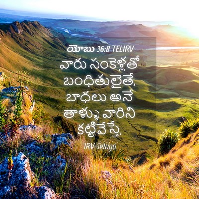 Picture 04 - యోబు 36:8 TELIRV - వారు సంకెళ్లతో - Bible Verse Picture