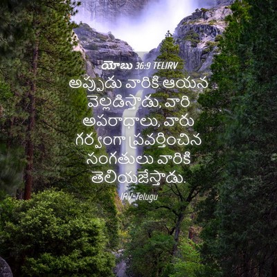 Picture 04 - యోబు 36:9 TELIRV - అప్పుడు వారికి - Bible Verse Picture
