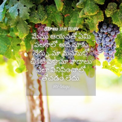 Picture 04 - యోబు 37:19 TELIRV - మేము ఆయనతో ఏమి - Bible Verse Picture