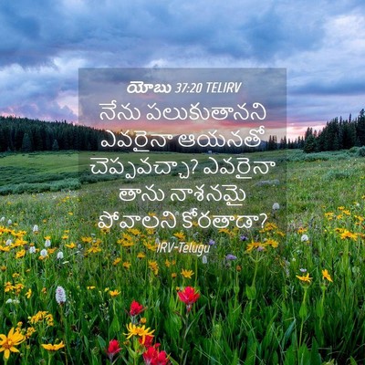 Picture 04 - యోబు 37:20 TELIRV - నేను పలుకుతానని - Bible Verse Picture