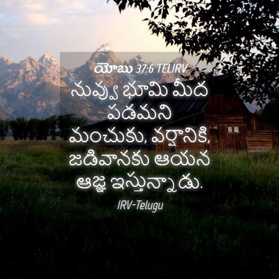 Picture 04 - యోబు 37:6 TELIRV - నువ్వు భూమి మీద - Bible Verse Picture