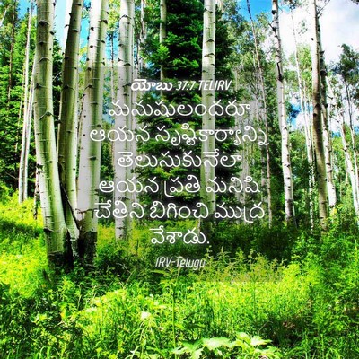 Picture 04 - యోబు 37:7 TELIRV - మనుషులందరూ ఆయన - Bible Verse Picture