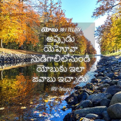 Picture 04 - యోబు 38:1 TELIRV - అప్పుడు యెహోవా - Bible Verse Picture