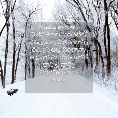 Picture 04 - యోబు 38:12 TELIRV - నీ - Bible Verse Picture