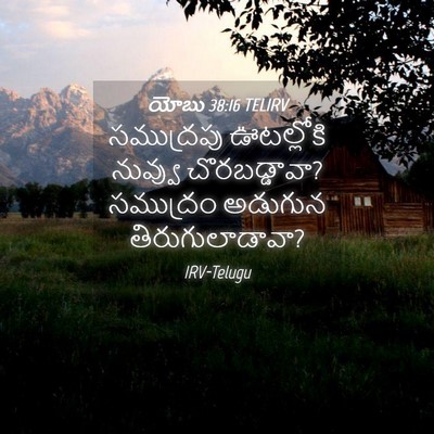 Picture 04 - యోబు 38:16 TELIRV - సముద్రపు ఊటల్లోకి - Bible Verse Picture