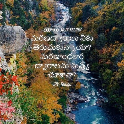 Picture 04 - యోబు 38:17 TELIRV - మరణద్వారాలు నీకు - Bible Verse Picture