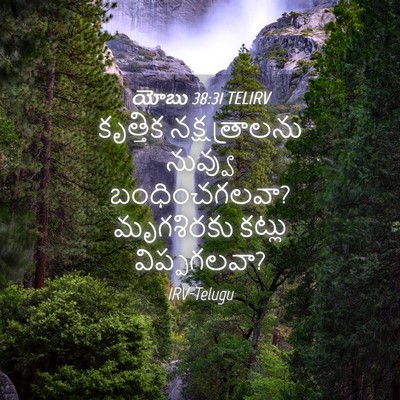 Picture 04 - యోబు 38:31 TELIRV - కృత్తిక - Bible Verse Picture