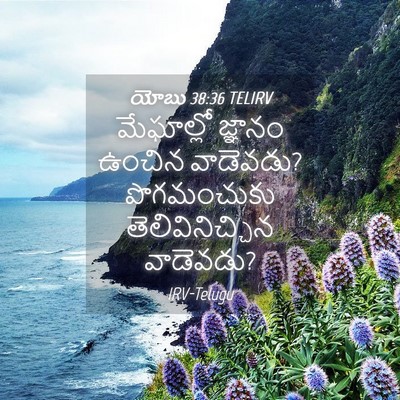 Picture 04 - యోబు 38:36 TELIRV - మేఘాల్లో జ్ఞానం - Bible Verse Picture