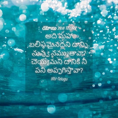 Picture 04 - యోబు 39:11 TELIRV - అది మహా - Bible Verse Picture
