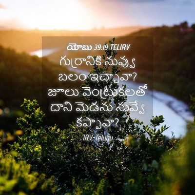 Picture 04 - యోబు 39:19 TELIRV - గుర్రానికి నువ్వు - Bible Verse Picture