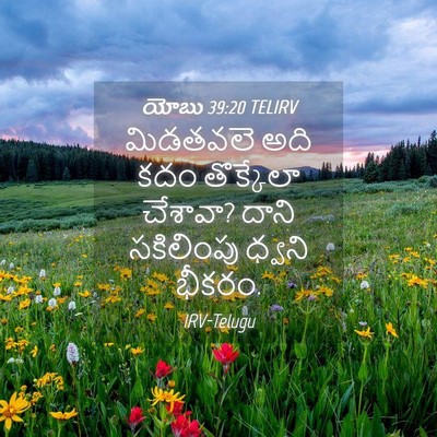 Picture 04 - యోబు 39:20 TELIRV - మిడతవలె అది కదం - Bible Verse Picture