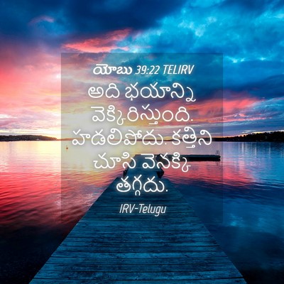 Picture 04 - యోబు 39:22 TELIRV - అది భయాన్ని - Bible Verse Picture