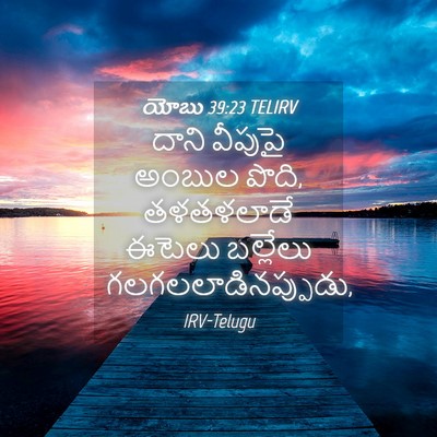 Picture 04 - యోబు 39:23 TELIRV - దాని వీపుపై అంబుల - Bible Verse Picture