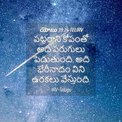 Picture 04 - యోబు 39:24 TELIRV - పట్టరాని కోపంతో - Bible Verse Picture