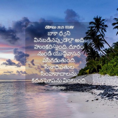 Picture 04 - యోబు 39:25 TELIRV - బాకా ధ్వని - Bible Verse Picture