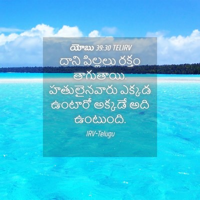 Picture 04 - యోబు 39:30 TELIRV - దాని పిల్లలు - Bible Verse Picture