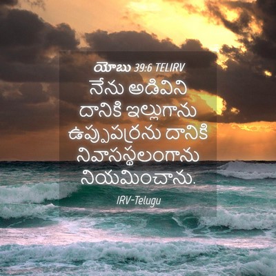 Picture 04 - యోబు 39:6 TELIRV - నేను అడివిని - Bible Verse Picture