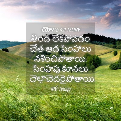Picture 04 - యోబు 4:11 TELIRV - తిండి లేకపోవడం - Bible Verse Picture