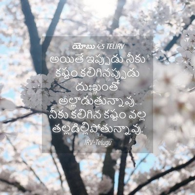 Picture 04 - యోబు 4:5 TELIRV - అయితే ఇప్పుడు - Bible Verse Picture