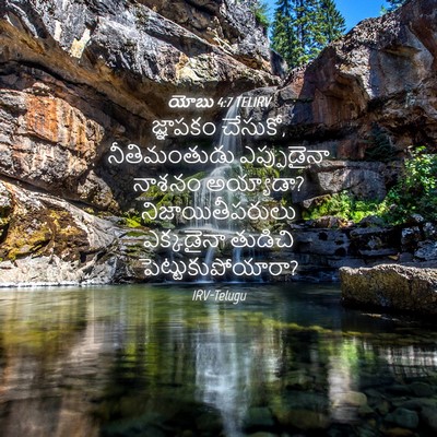 Picture 04 - యోబు 4:7 TELIRV - జ్ఞాపకం చేసుకో, - Bible Verse Picture