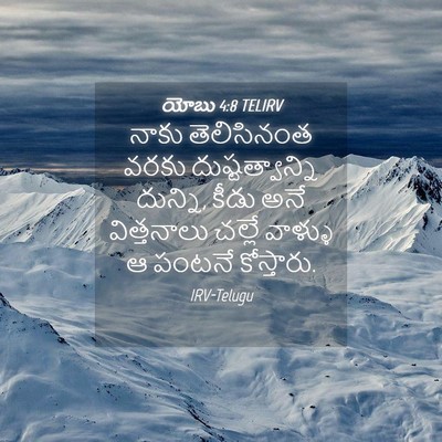 Picture 04 - యోబు 4:8 TELIRV - నాకు తెలిసినంత - Bible Verse Picture