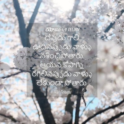 Picture 04 - యోబు 4:9 TELIRV - దేవుడు గాలి - Bible Verse Picture