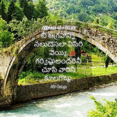 Picture 04 - యోబు 40:11 TELIRV - నీ ఆగ్రహాన్ని - Bible Verse Picture