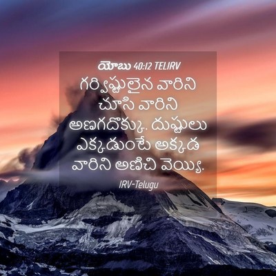 Picture 04 - యోబు 40:12 TELIRV - గర్విష్టులైన - Bible Verse Picture