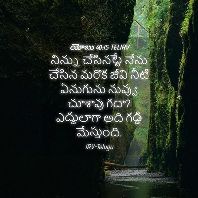 Picture 04 - యోబు 40:15 TELIRV - నిన్ను చేసినట్టే - Bible Verse Picture