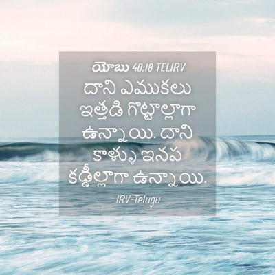 Picture 04 - యోబు 40:18 TELIRV - దాని ఎముకలు - Bible Verse Picture
