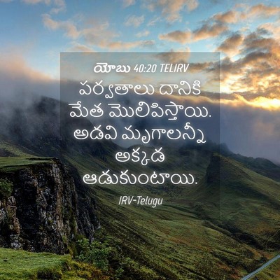 Picture 04 - యోబు 40:20 TELIRV - పర్వతాలు దానికి - Bible Verse Picture