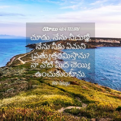 Picture 04 - యోబు 40:4 TELIRV - చూడు, నేను - Bible Verse Picture
