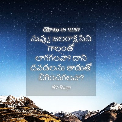 Picture 04 - యోబు 41:1 TELIRV - నువ్వు - Bible Verse Picture