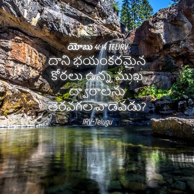 Picture 04 - యోబు 41:14 TELIRV - దాని భయంకరమైన - Bible Verse Picture