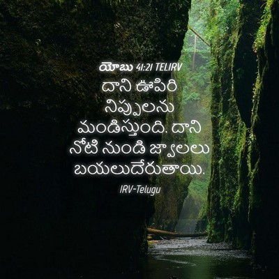 Picture 04 - యోబు 41:21 TELIRV - దాని ఊపిరి - Bible Verse Picture