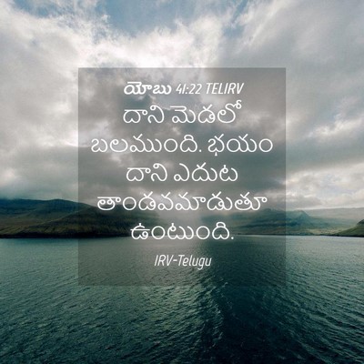 Picture 04 - యోబు 41:22 TELIRV - దాని మెడలో - Bible Verse Picture